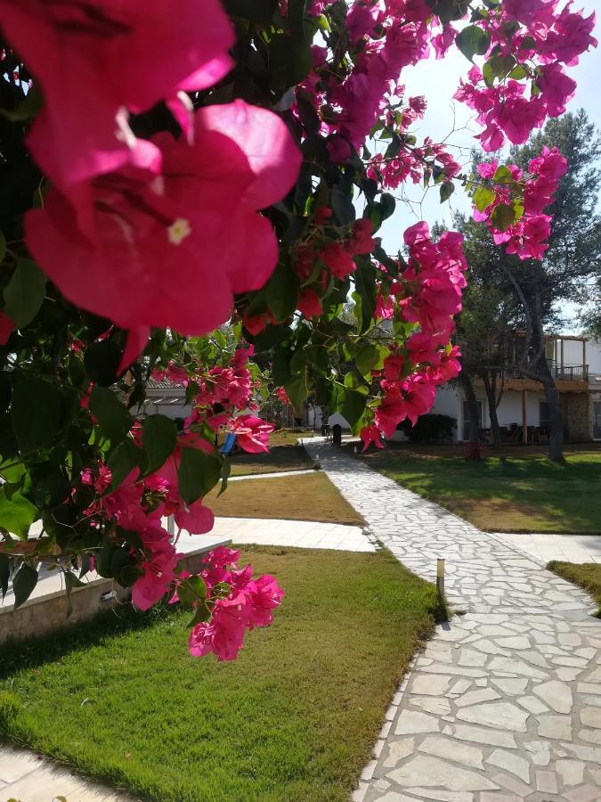Marzi Beach And Bungalows מלון Kokkónion
