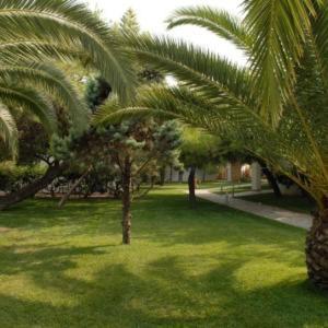 מלון Marzi Beach And Bungalows