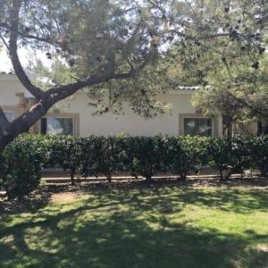 מלון Marzi Beach And Bungalows 3*