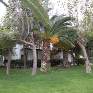 מלון Marzi Beach And Bungalows 3*