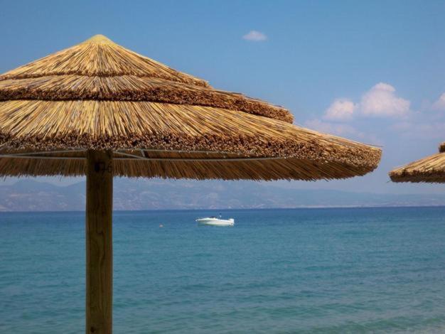 מלון Marzi Beach And Bungalows